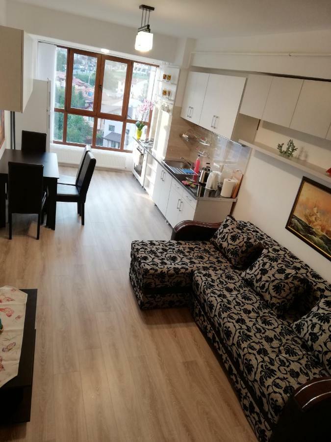 Kolonaki Domus Apartment Iasi Eksteriør billede