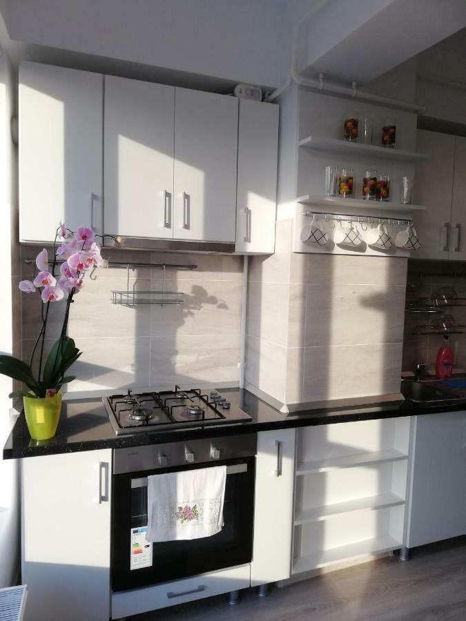 Kolonaki Domus Apartment Iasi Eksteriør billede